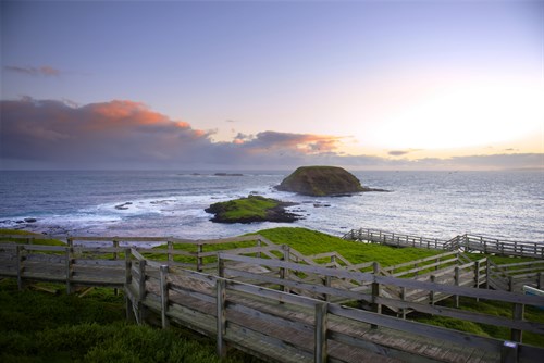 Phillip Island