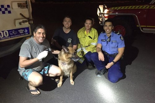 Gun Holster Rescue Dog