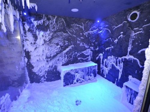 cruise ship snow room