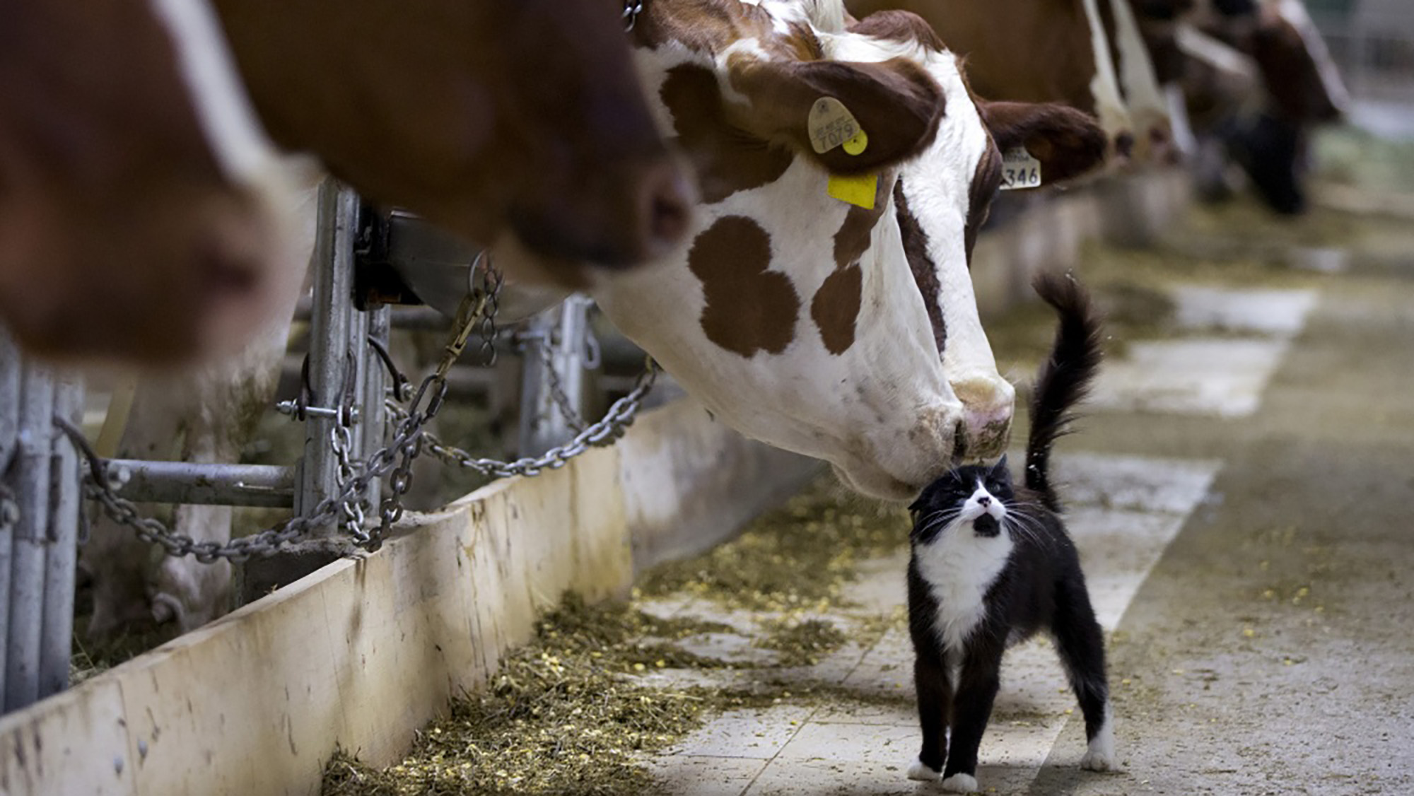 15 photos to brighten your day