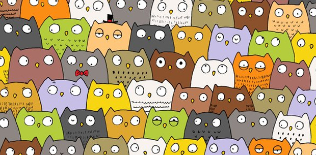 Can you spot the cat hidden in this picture?
