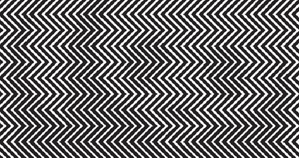 Can you find the panda hidden in this picture?