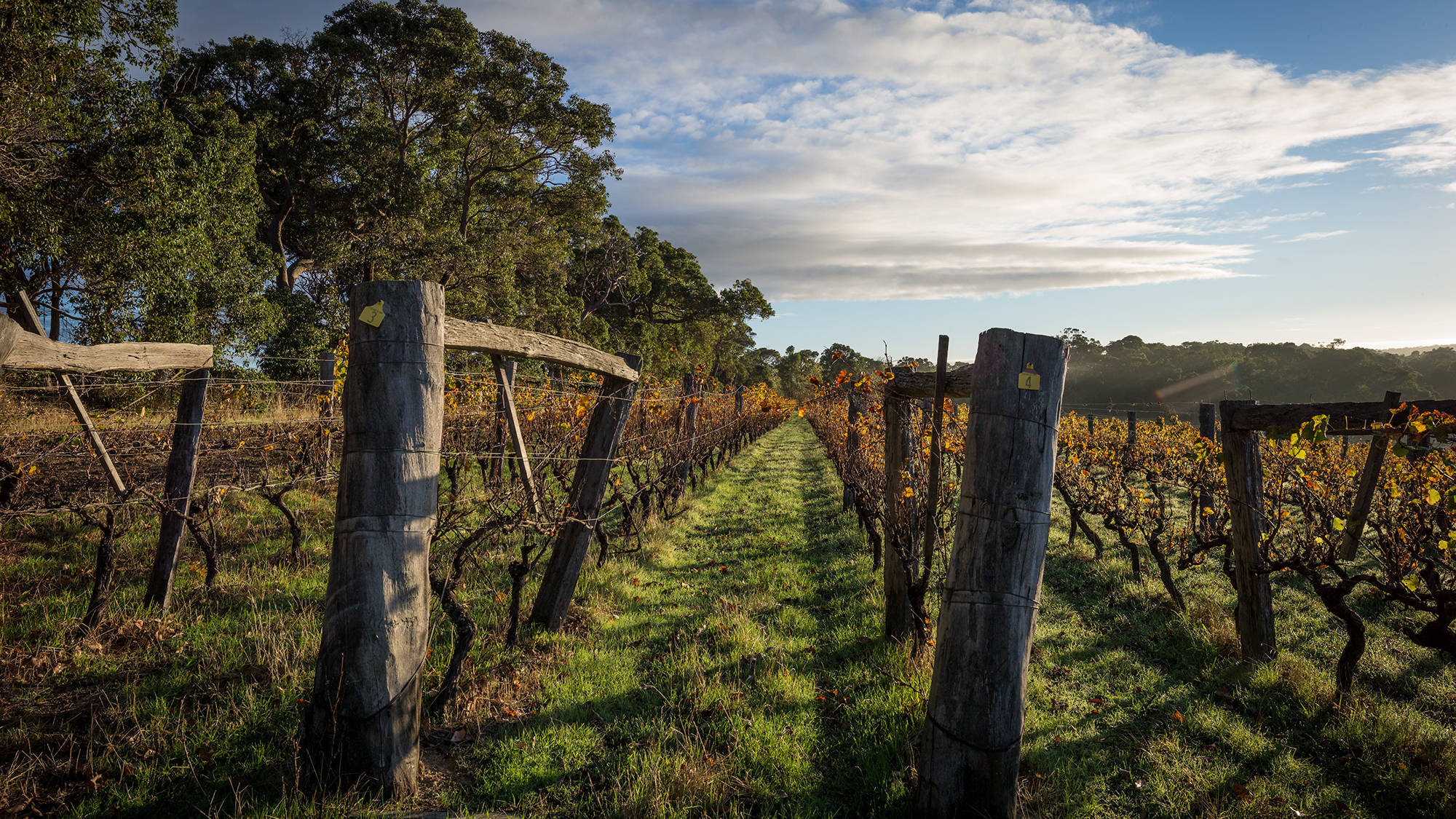 More than just wine: Explore the Margaret River