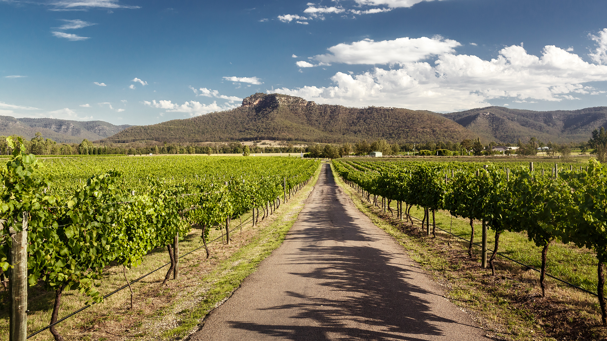 10 things to do in the Hunter Valley OverSixty