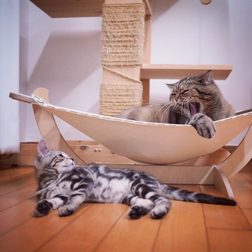 Auspicious