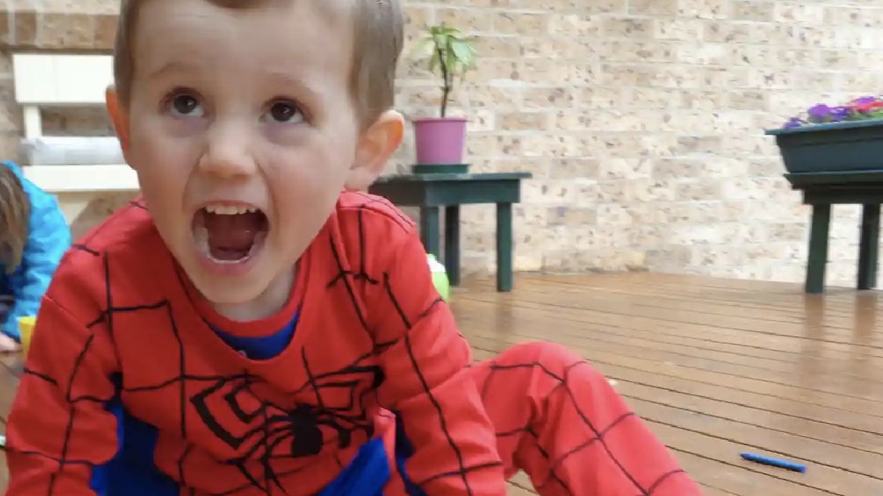 William Tyrrell's foster mother slapped with new charge