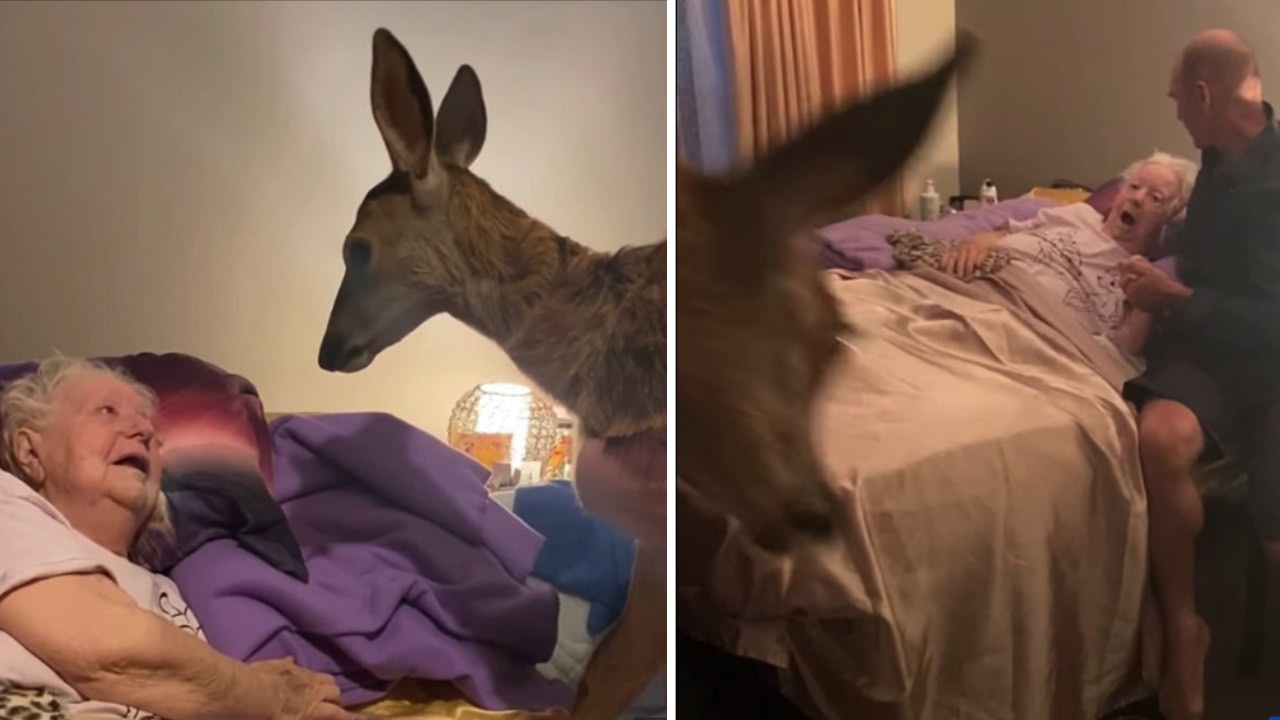 Bambi-obsessed mother given the ultimate surprise