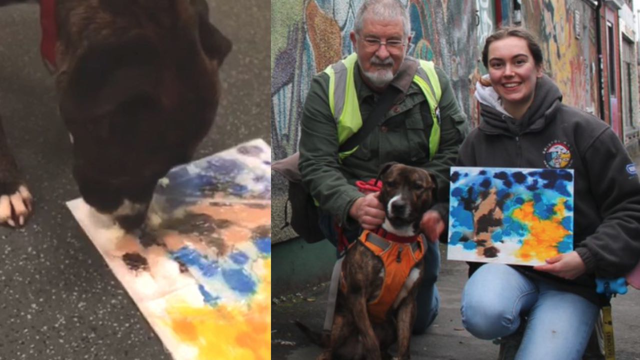 Banksy the dog recreates paintings of his namesake
