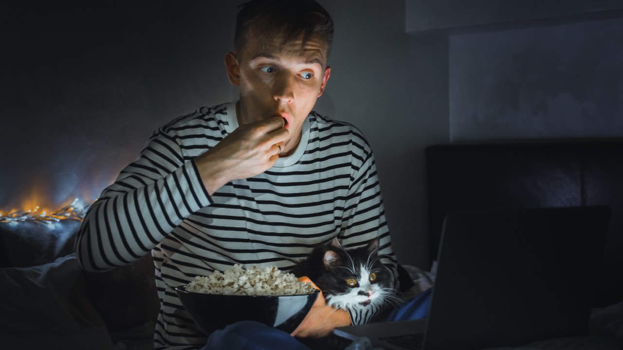 The 5 best films for cat lovers (that aren’t the movie Cats)