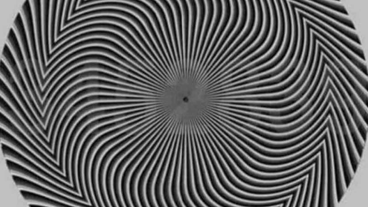 Optical illusion baffles internet