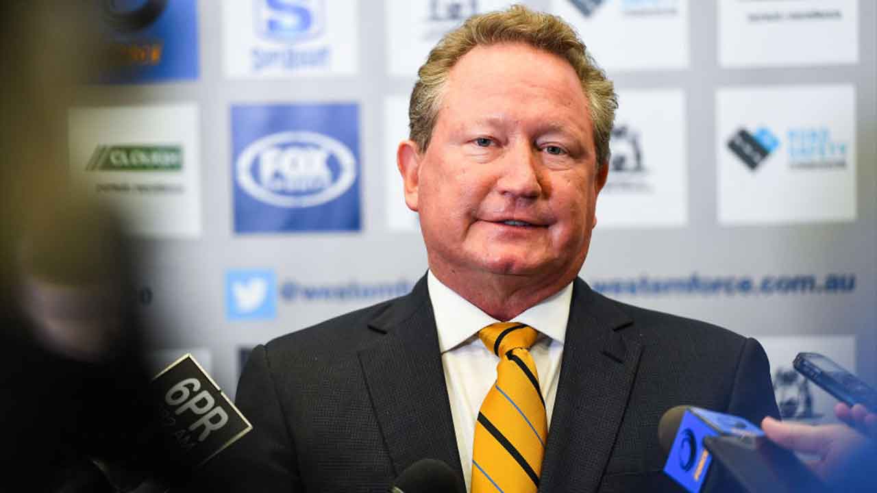 Andrew “Twiggy” Forrest launches criminal case against Facebook