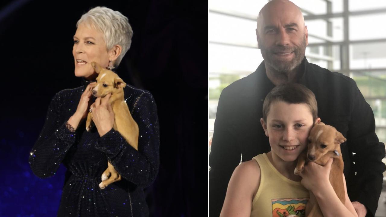 John Travolta's son adopts puppy from the Oscars ceremony