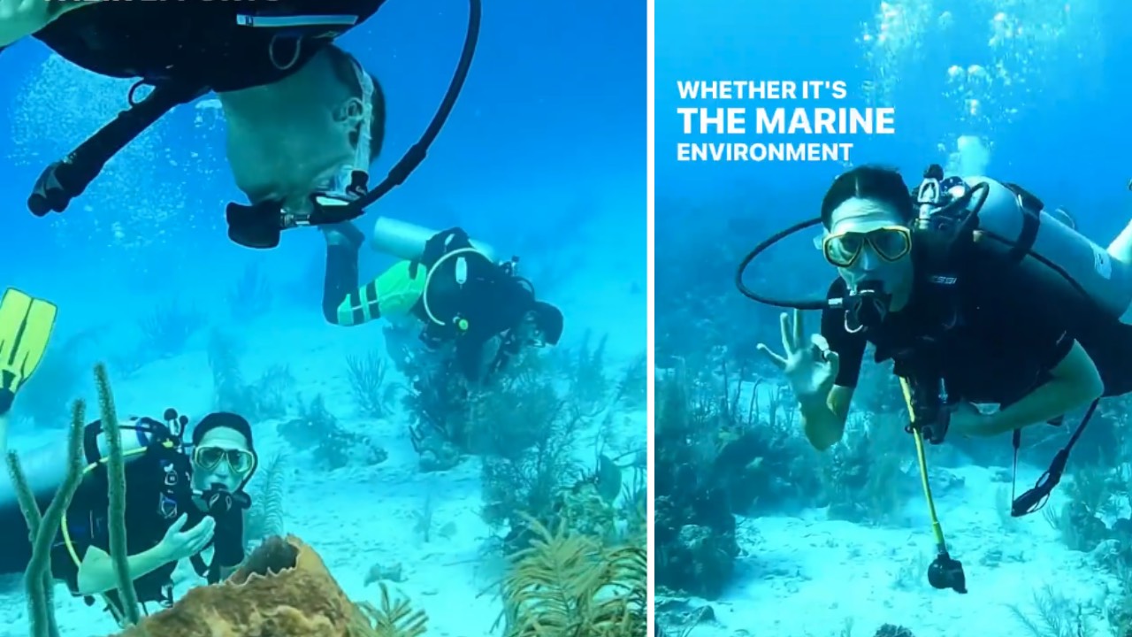 William and Kate stun fans with "amazing" scuba dive