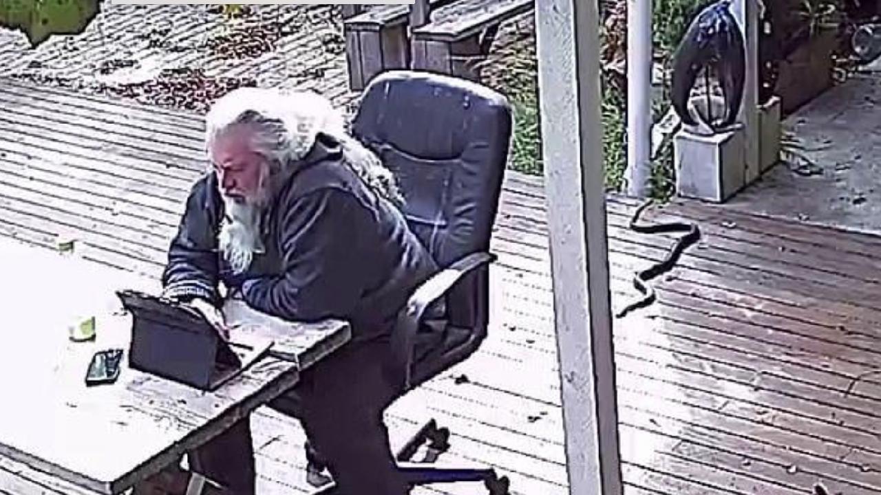 "Just another day in Oz": Man bitten by snake while working from home