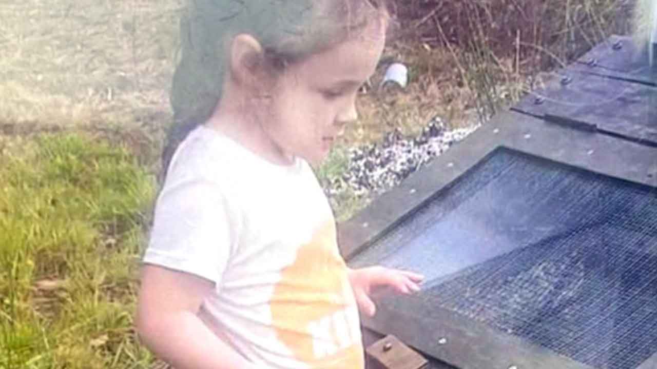 Fears grow for missing little girl