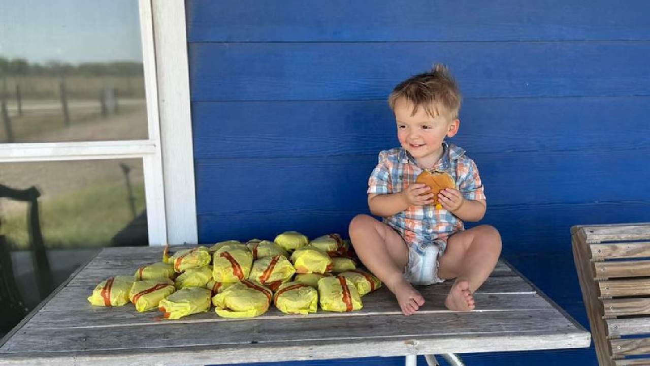 Toddler orders $130 worth of McDonald's cheeseburgers