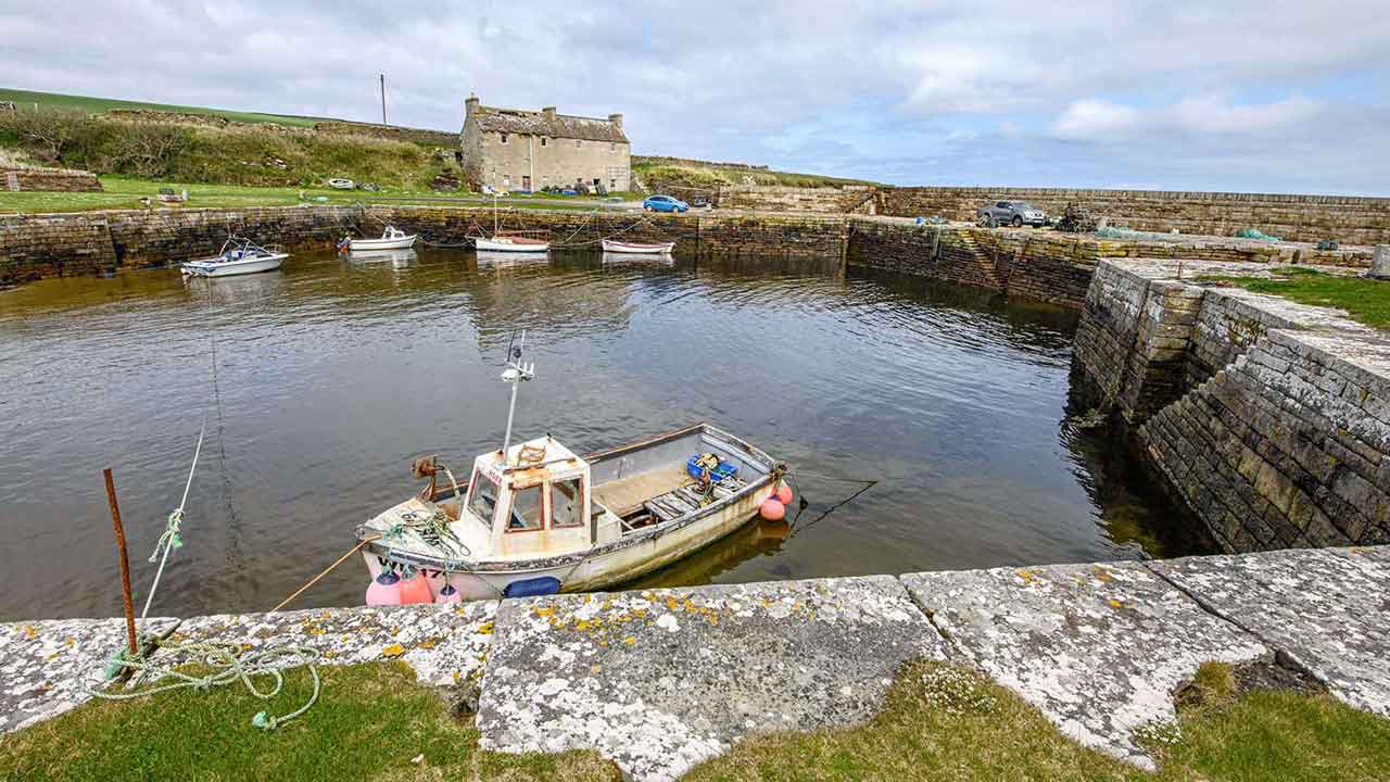 Entire HARBOUR up for grabs in epic seaside sale