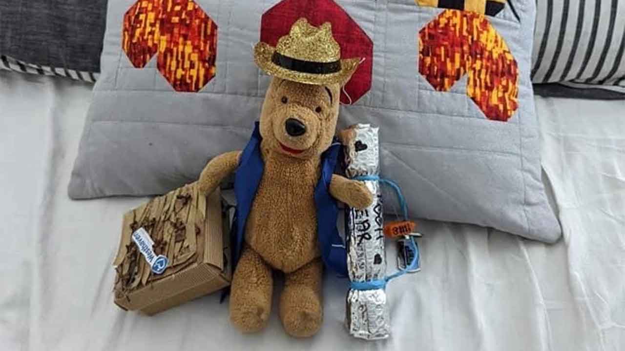 Community unites to help long-lost teddy find its way home