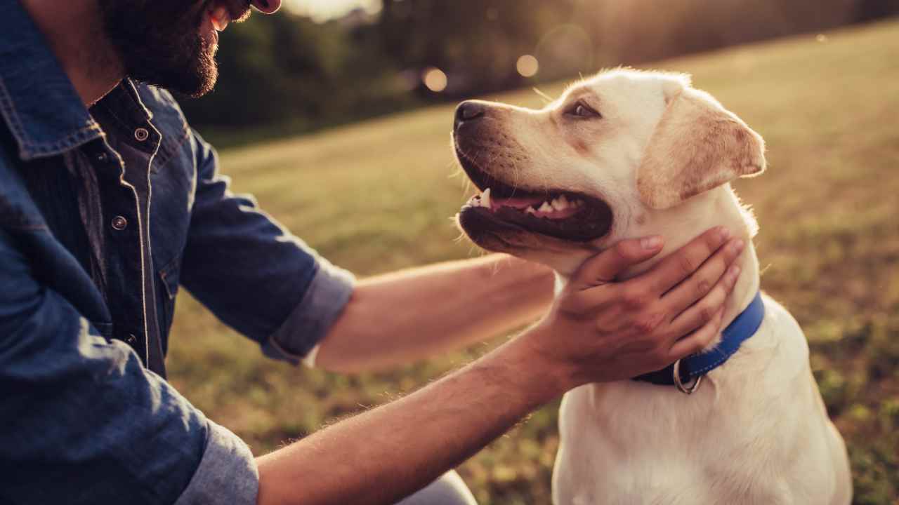 When pets are family, the benefits extend into society