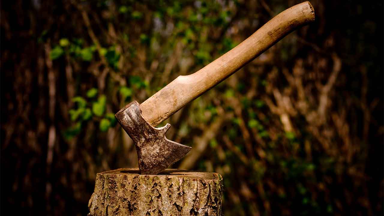 Man fined thousands for unsolicited pruning in neighbourly dispute