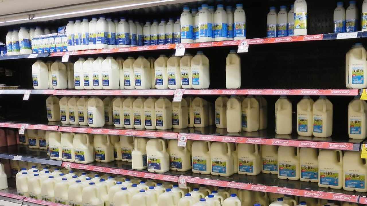 Udderly ridiculous: Price of milk next in line for huge hike