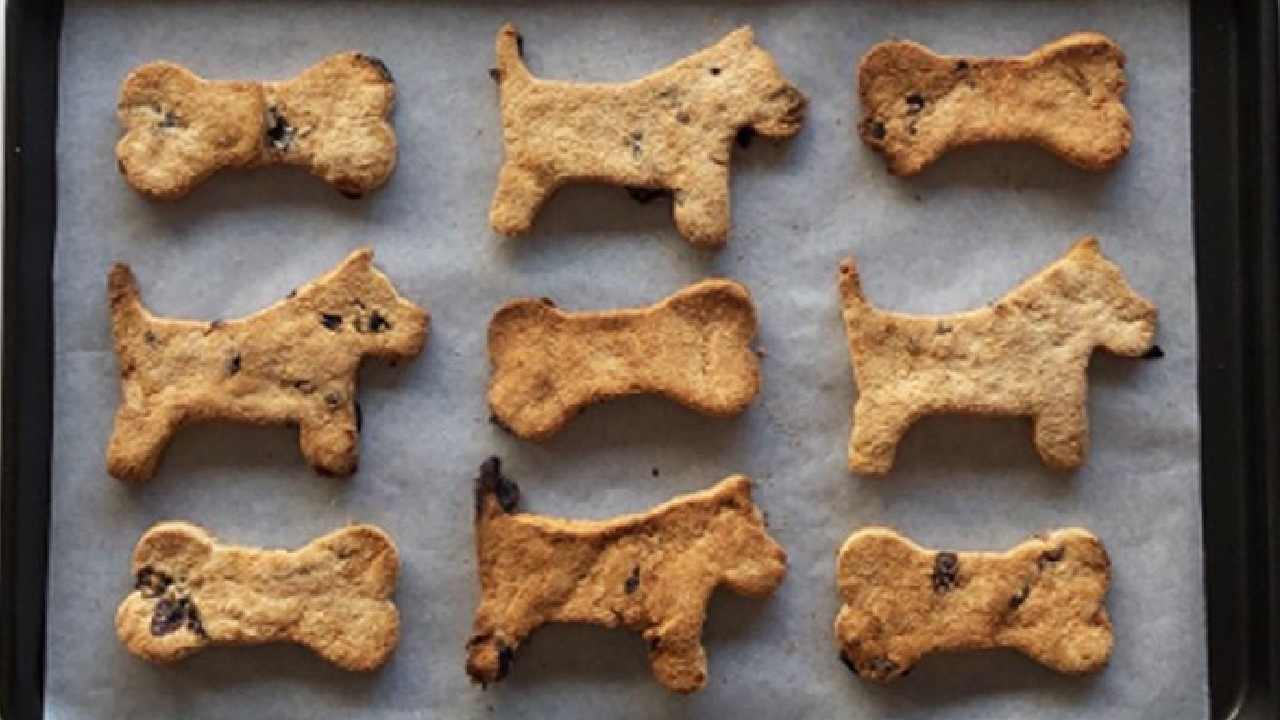 Homemade cookies for your pup 