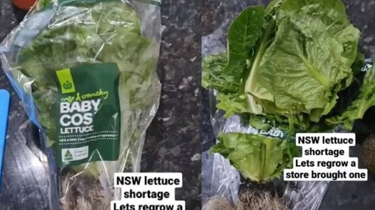 One clever woman's lettuce hack