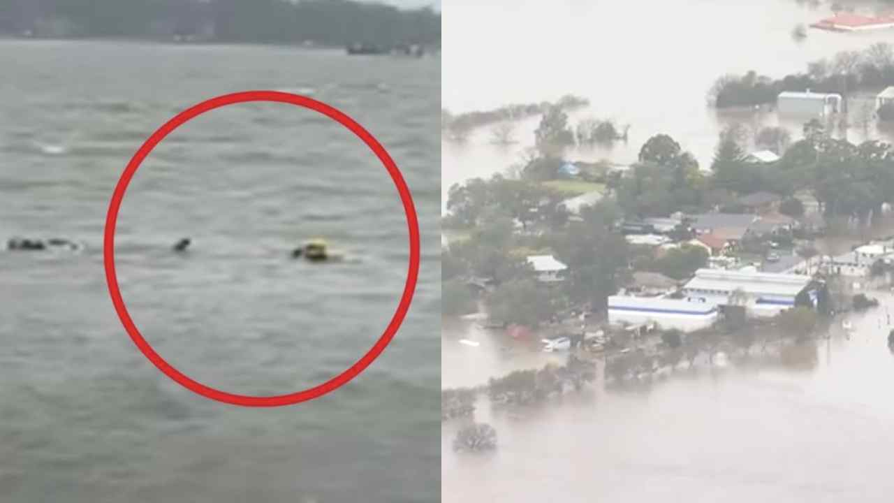Man drowns in Sydney flood waters amid fears "the worst is yet to come"