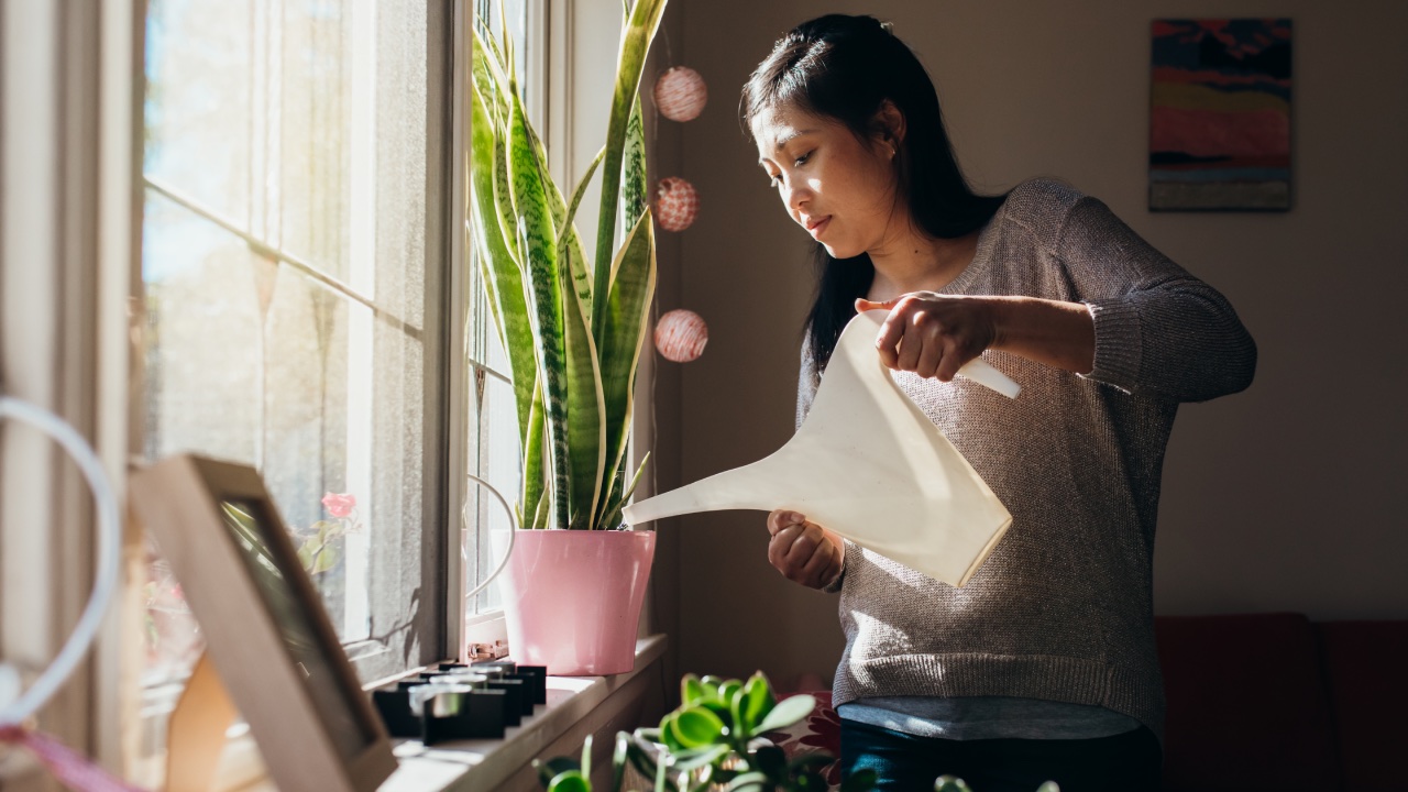 The household appliance that could be killing your plants