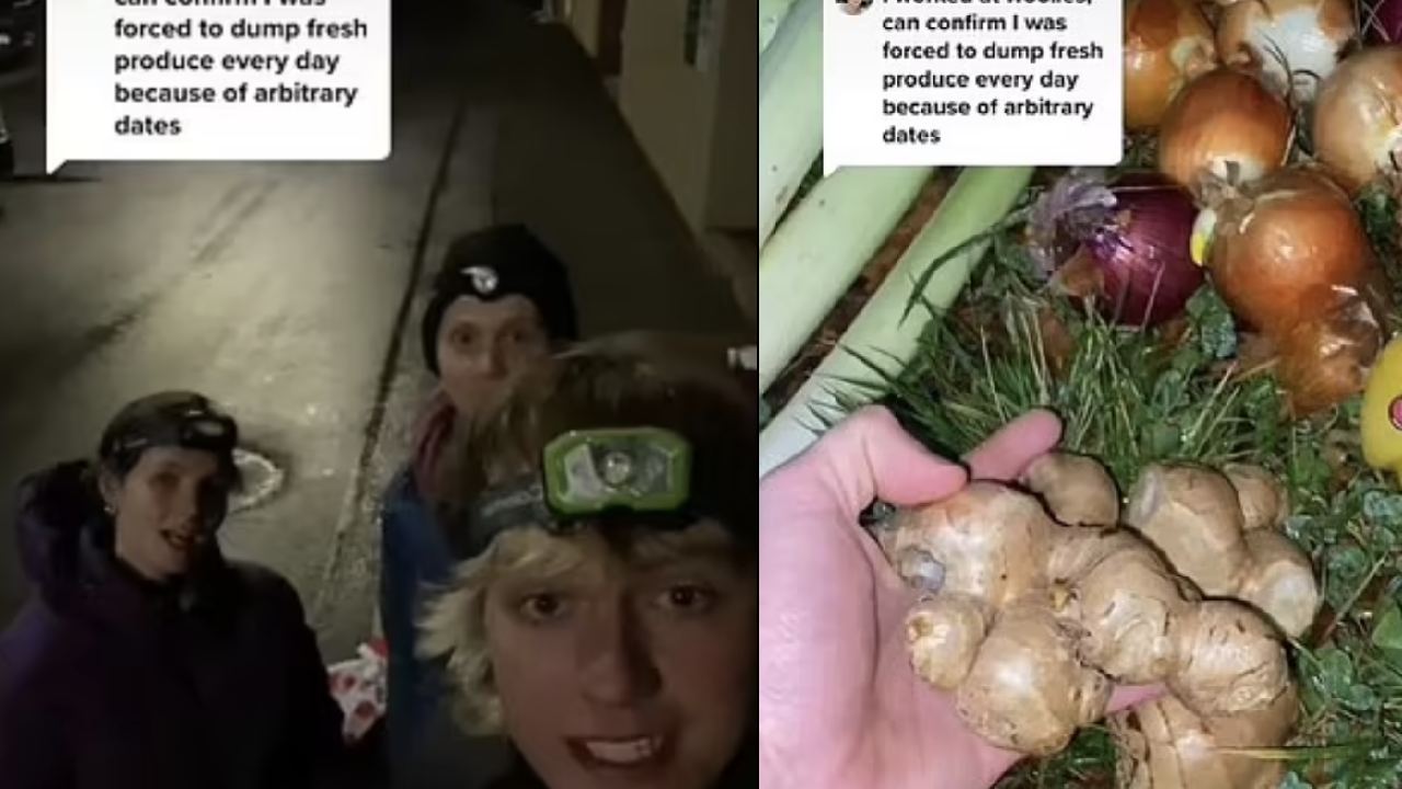Dumpster diver shows off controversial food haul 