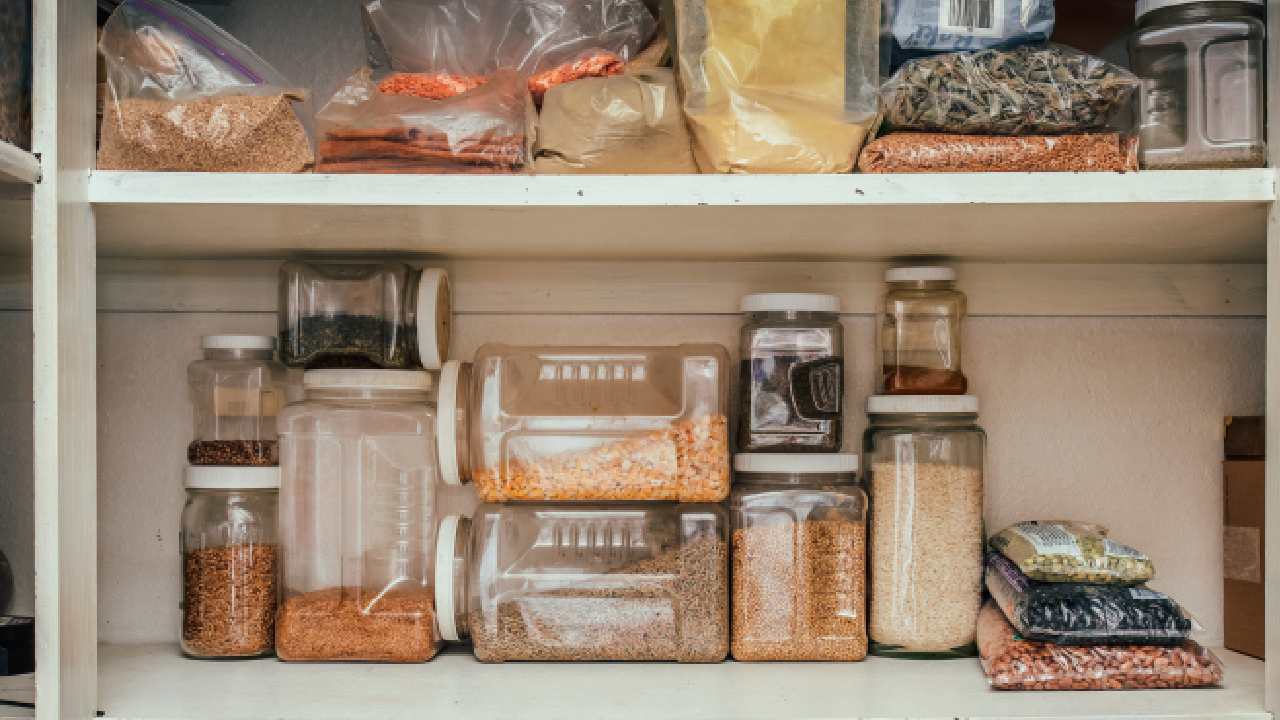 How Do You Get Rid of Pantry Moths? – Forbes Home
