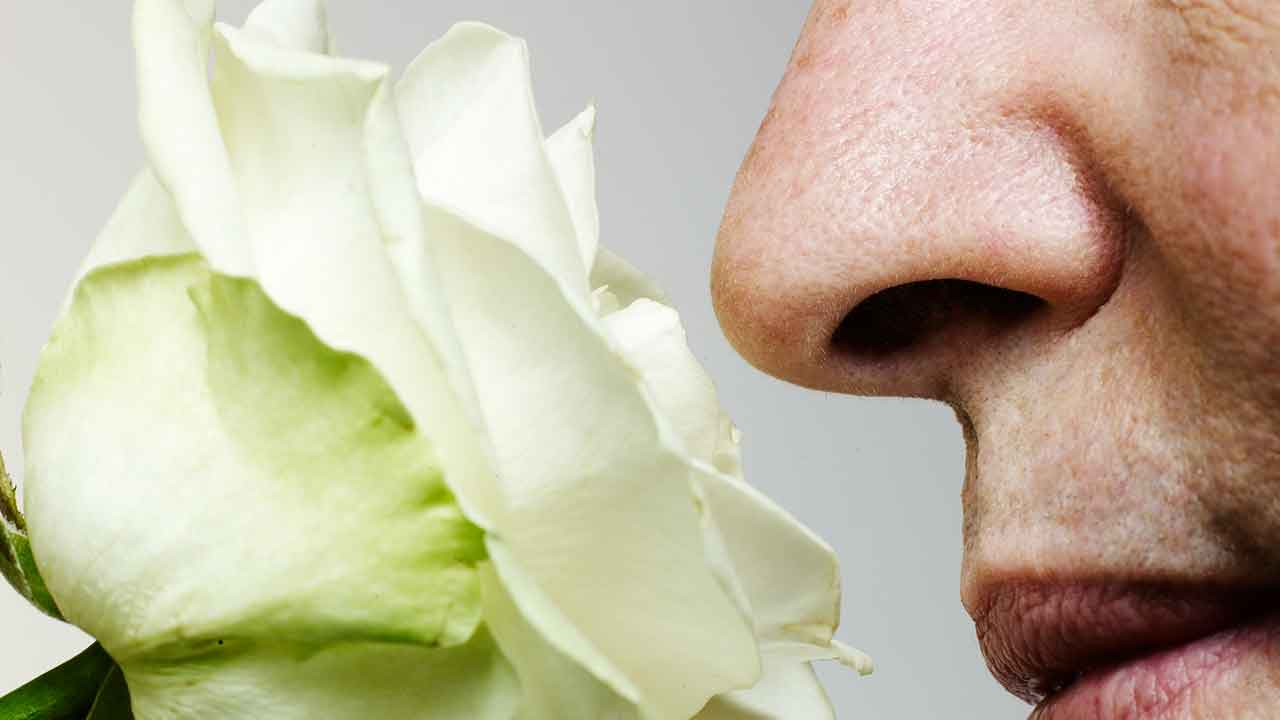 A history of head injuries could impact your sense of smell