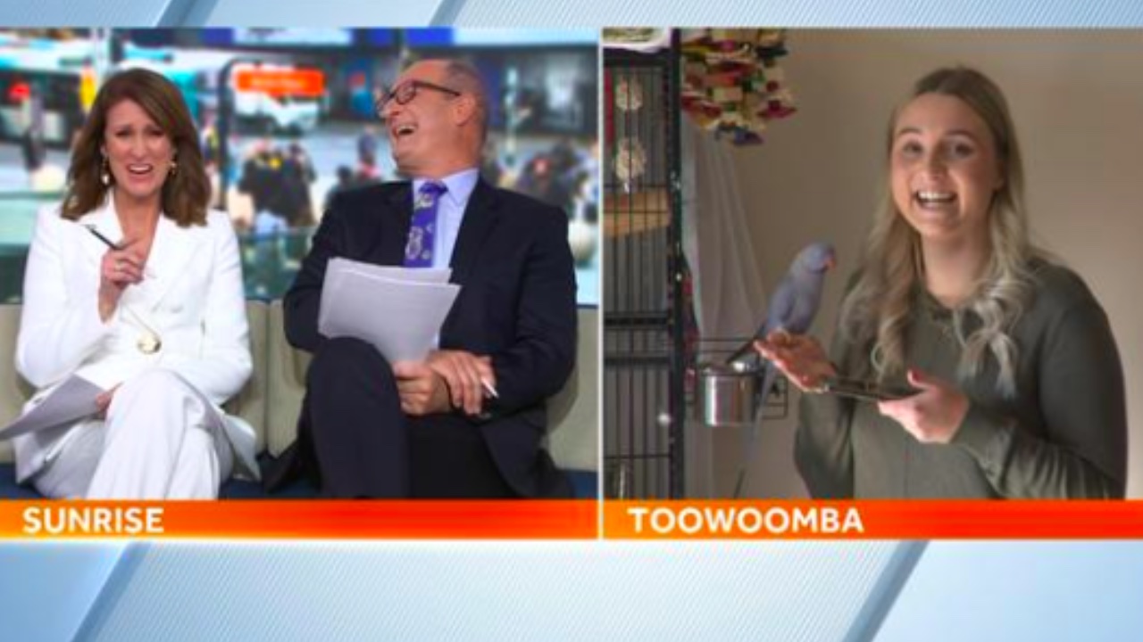 "You've brightened my day!": Kochie and Nat Barr's "wild" interview