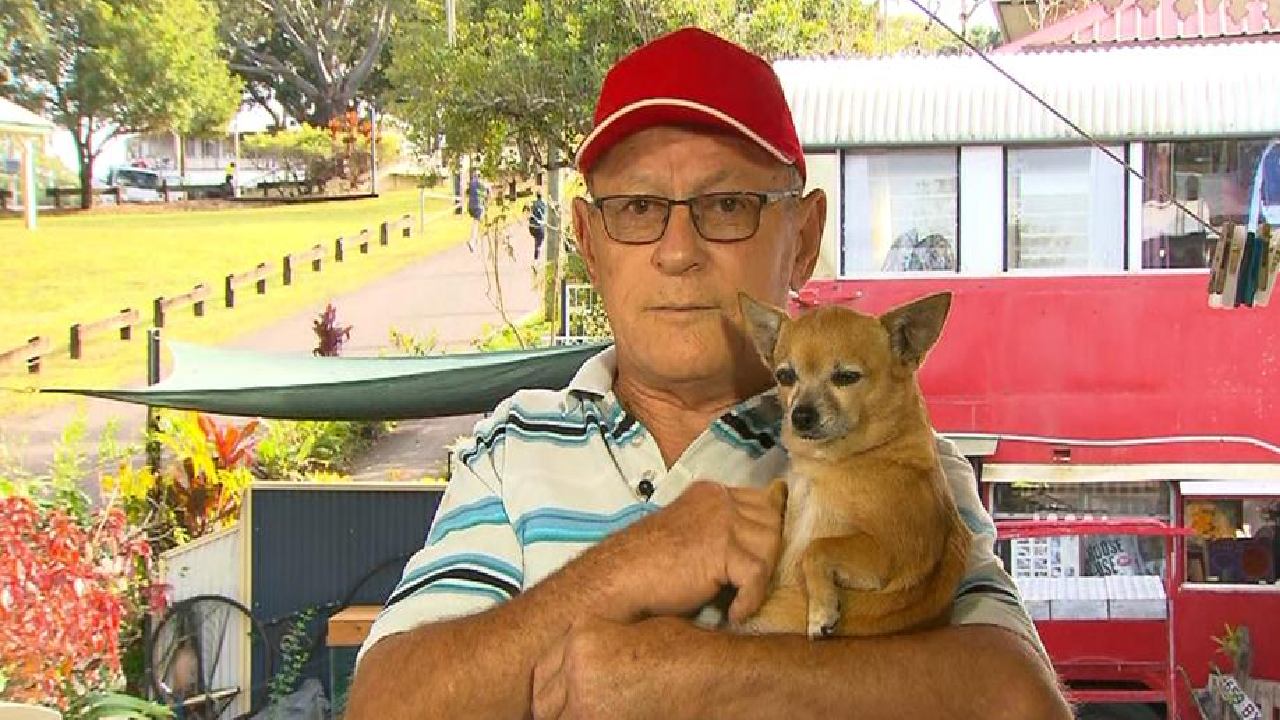 Not without my dog! Man wins anti-discrimination case against pet ﻿chihuahua