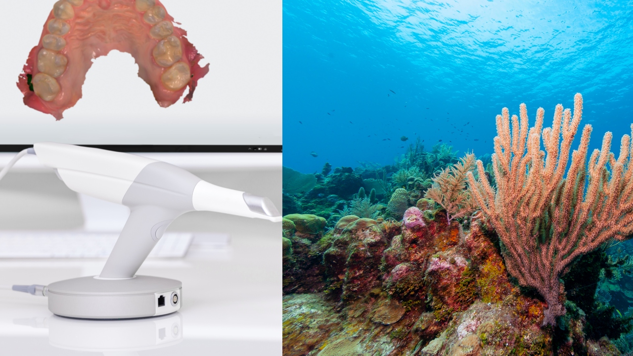 Using a dental scanner on corals like a “magic wand”