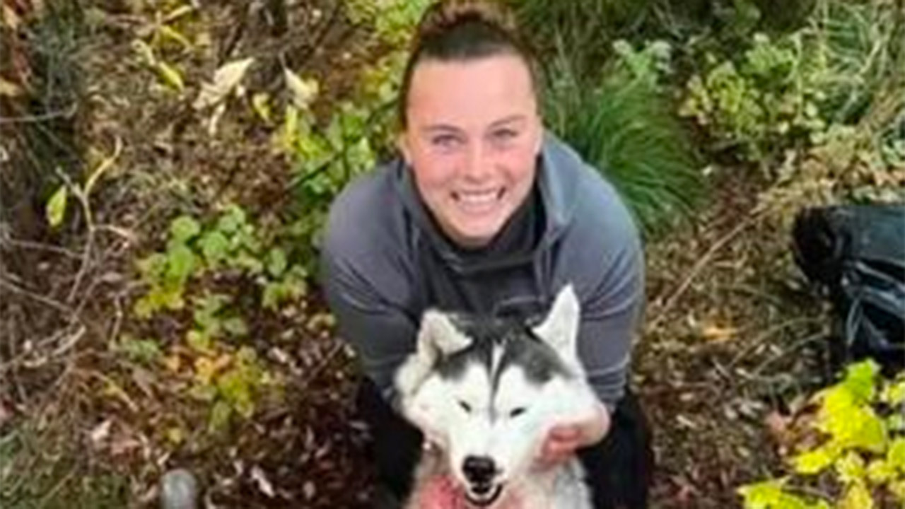 Outrage after husky pup shot and killed by hunter