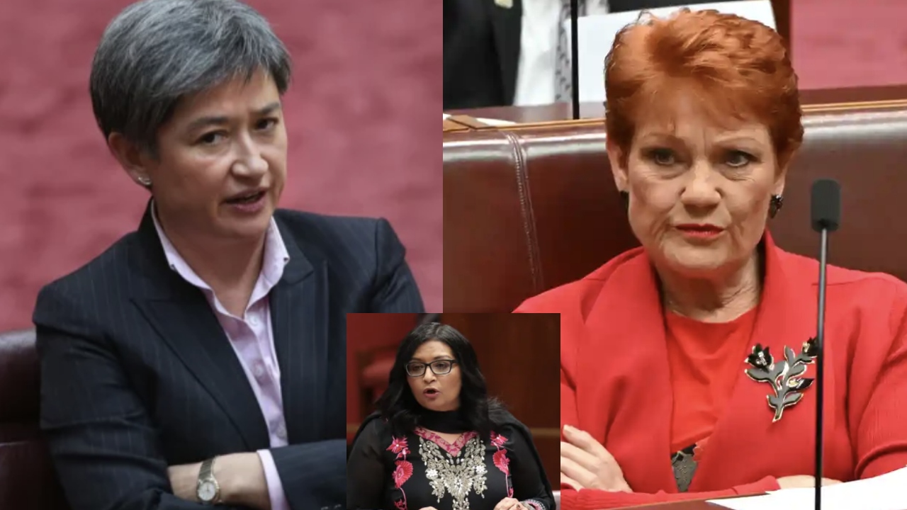 Penny Wong slams Pauline Hanson over derogatory comments