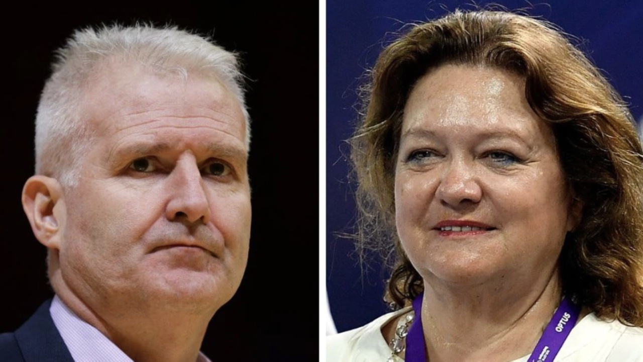 Andrew Gaze slams Gina Rinehart for not condemning her father's offensive comments