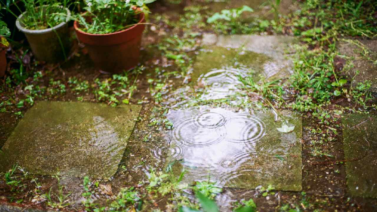 Garden fixes after heavy rain