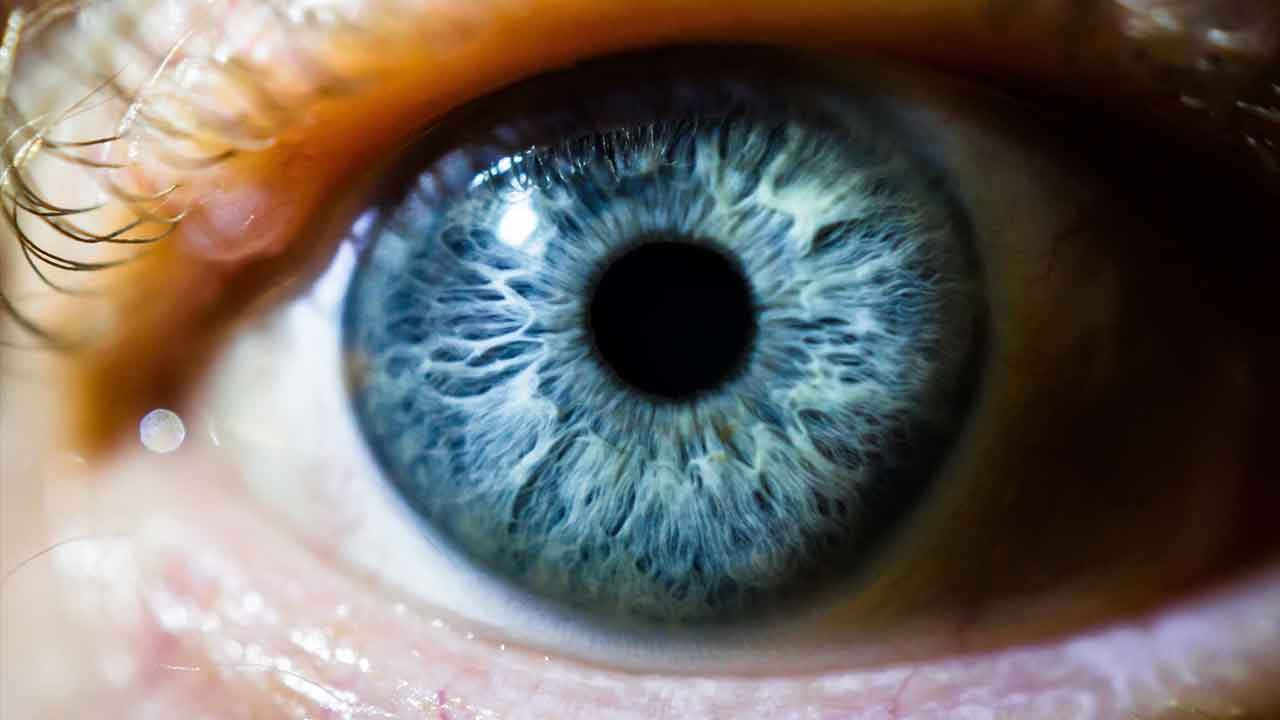 Your eyes could predict your risk of heart disease