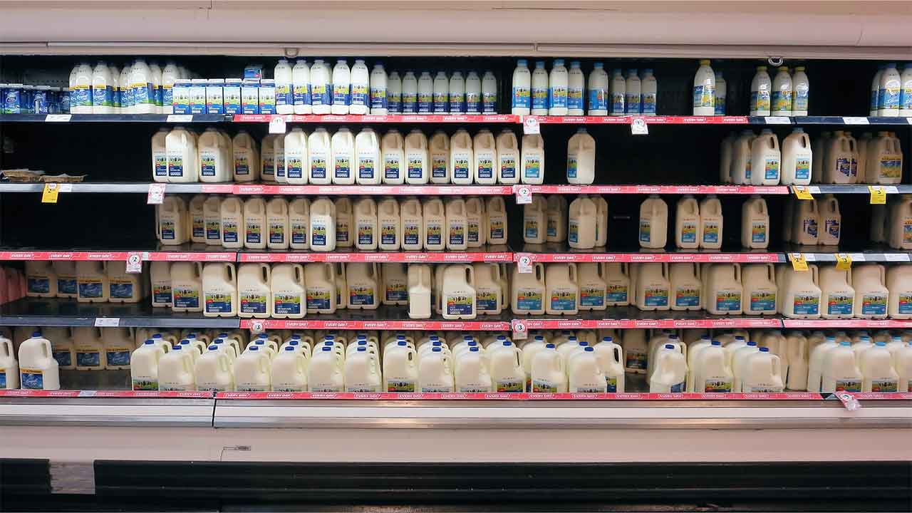 Floods, pandemics, wars and market forces: what’s driving up the price of milk