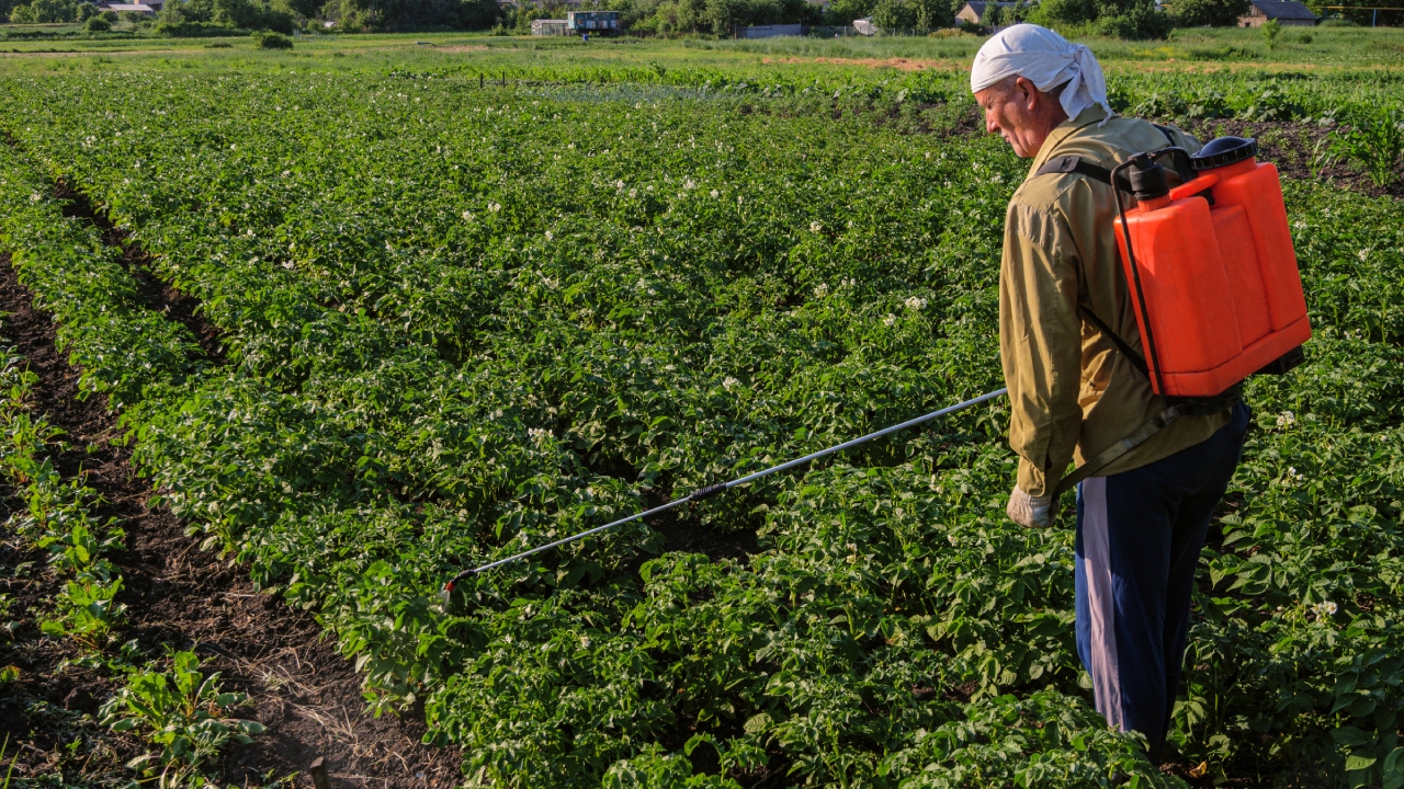 4 essential reads on pesticides and the environment