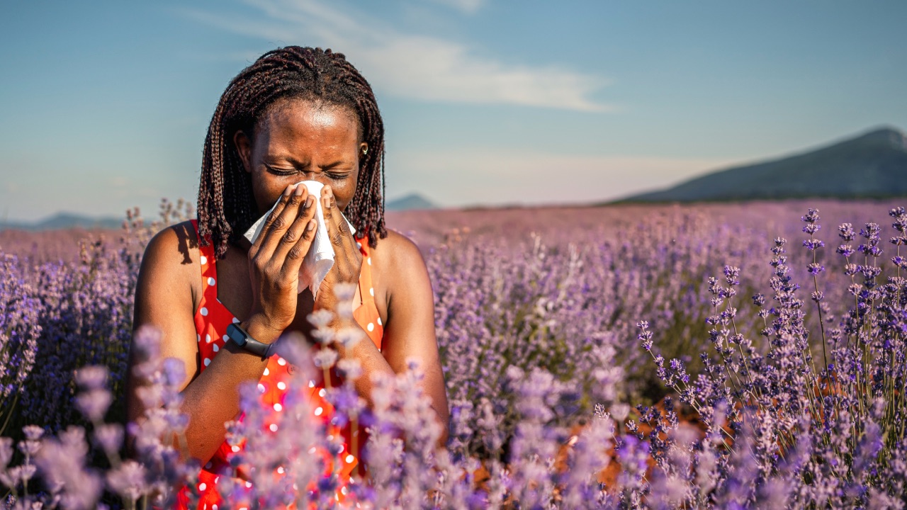 Achoo! 5 essential reads for pollen season