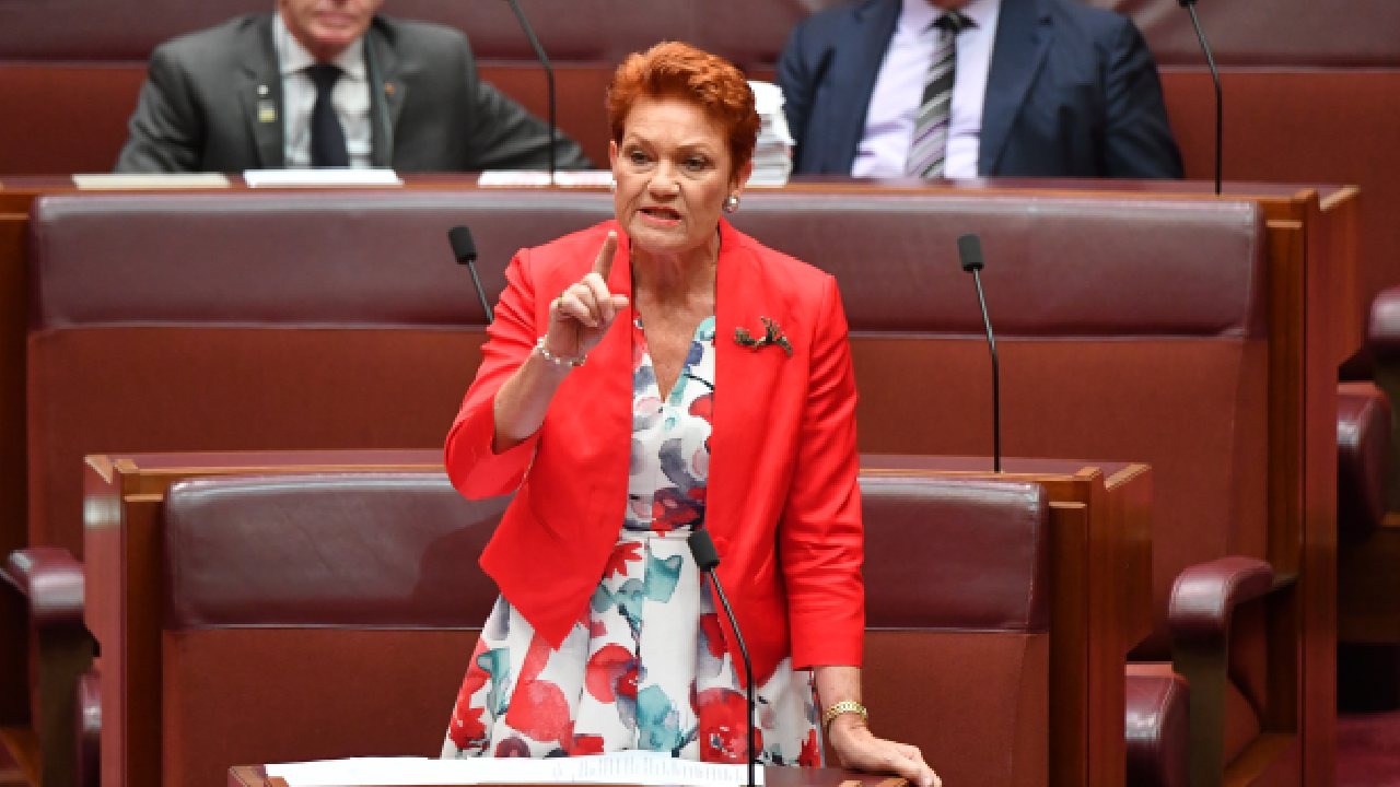 Pauline Hanson's bold move into reality TV