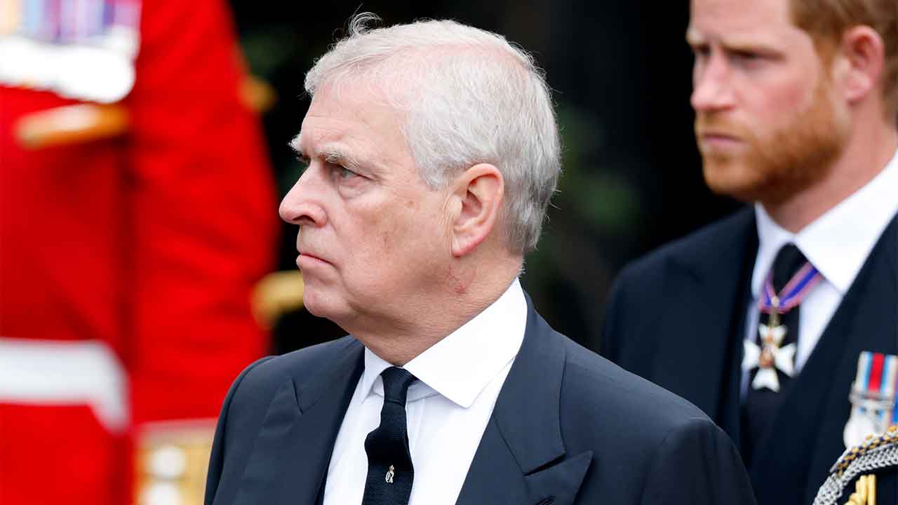 Prince Andrew to appeal loss of another royal perk