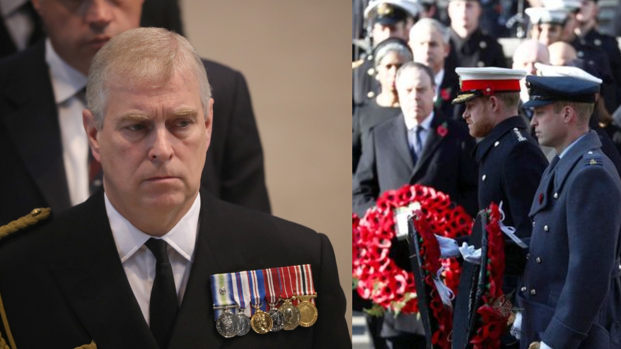 Prince Harry and Prince Andrew’s Remembrance Day wreaths removed