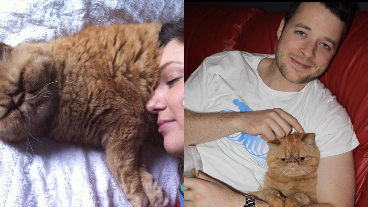 "Our Berty boy has died": Zoe and Hamish mourn the passing of beloved cat