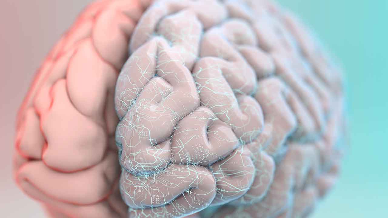 Severe COVID-19 linked to signs of ageing in the brain