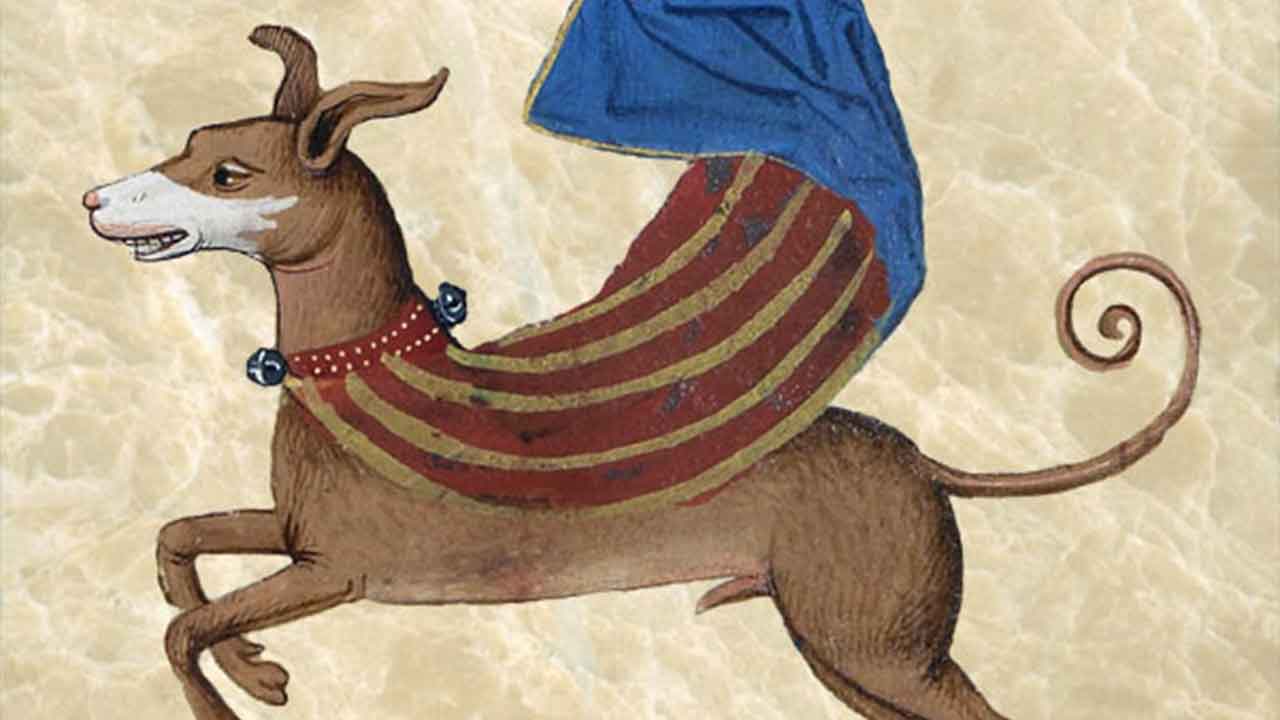 From Elfin to Garlick Take inspiration from this list of medieval dog