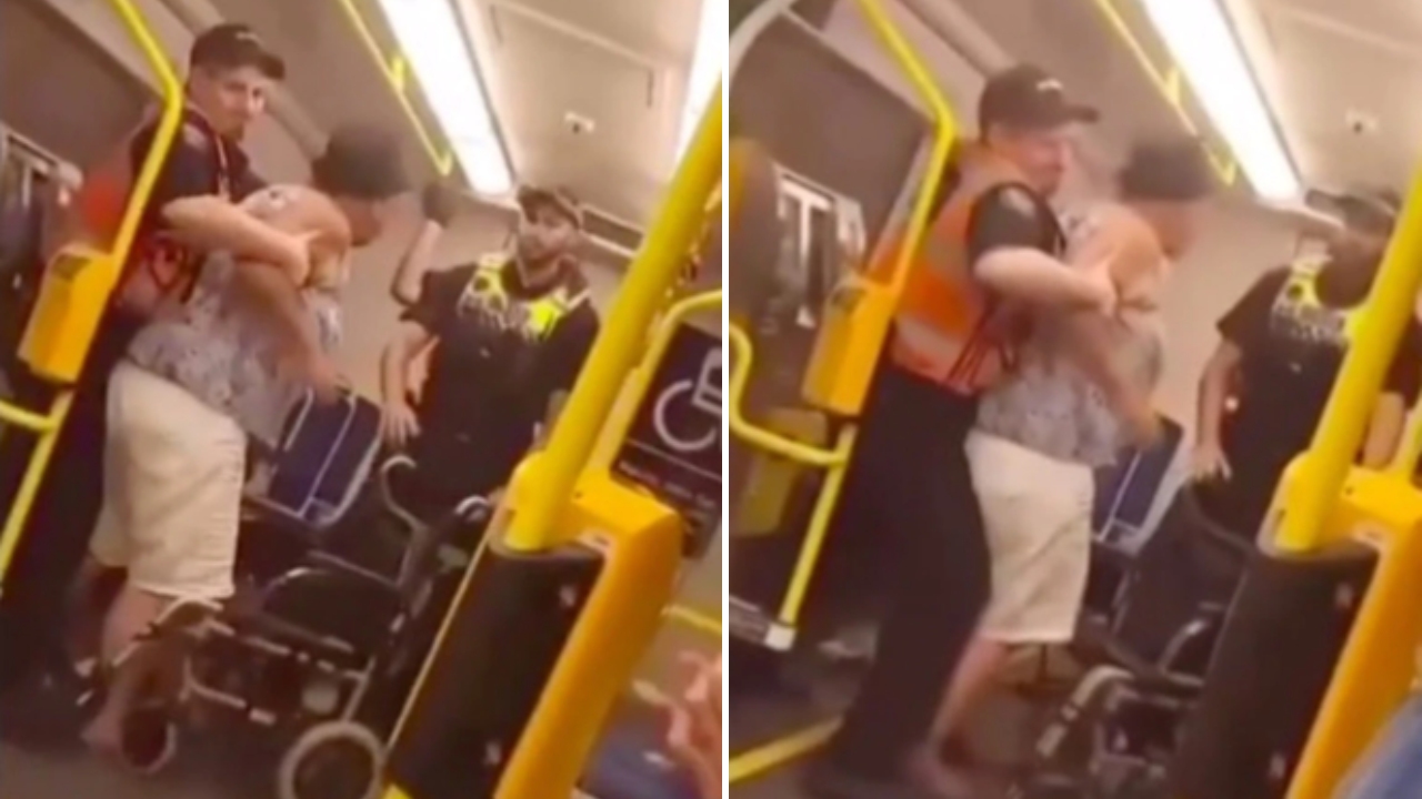 Disabled woman dragged off train by police